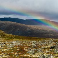 f11_2767-pano