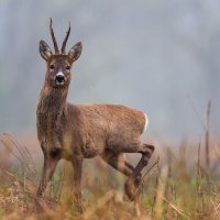 Aprile 2019 - Aprile dolce dormire